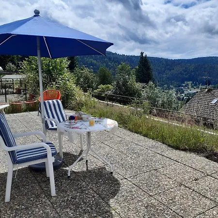 Apartment Schoenblick Todtmoos